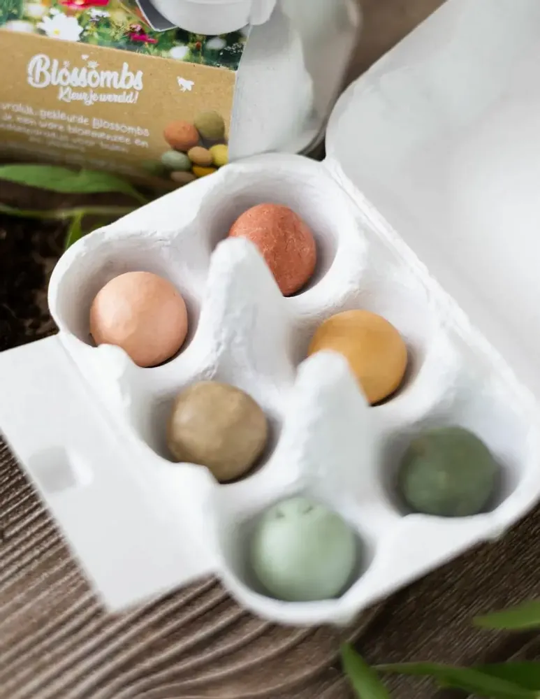 Gifts - Delft Blue Egg Box with 6 Seed Bombs – I Love You - BLOSSOMBS