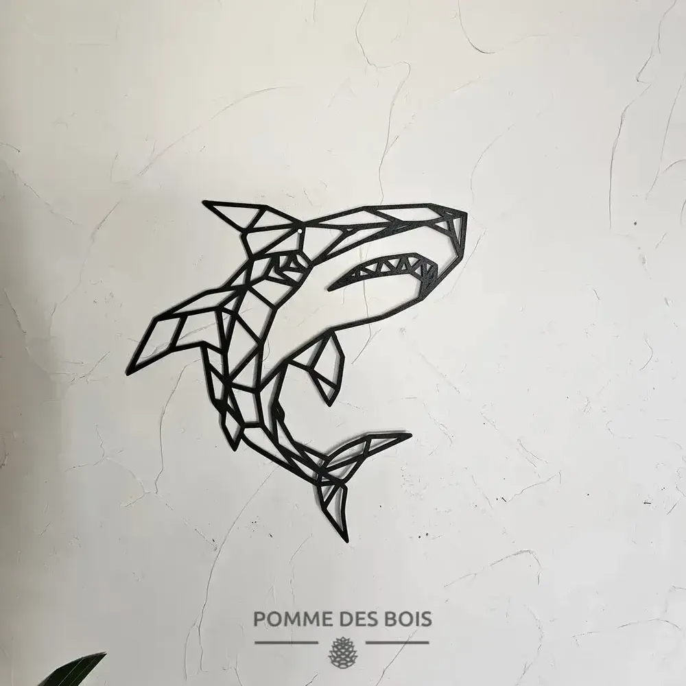 Tableaux - Tableau - Requin Filaire - POMME DES BOIS