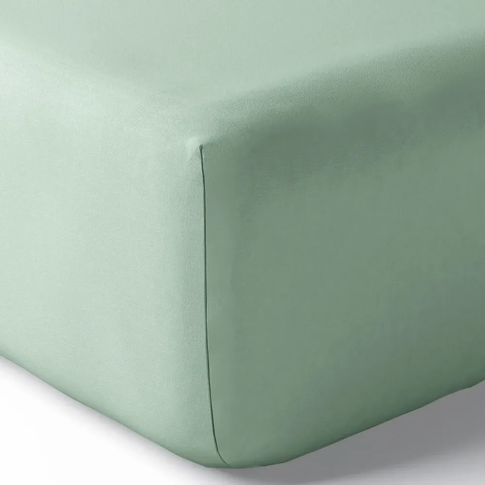 Linge de lit - Drap housse Percale 180 x 200 cm Pur Coton Peigné Longues Fibres 80 Fils/cm² Celadon - COTON PUR