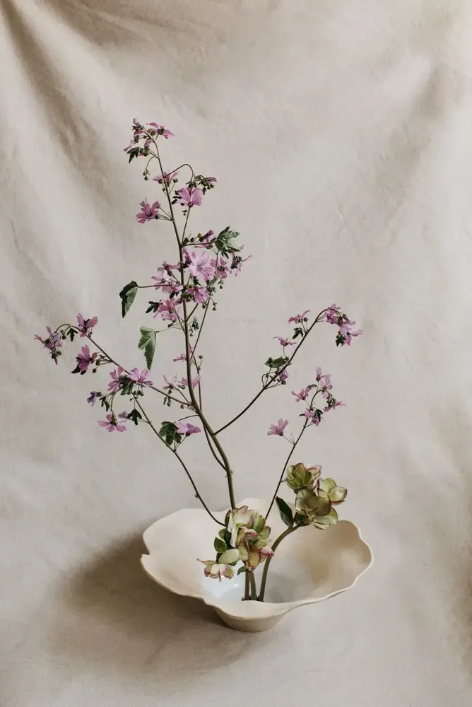 Formal plates - Floral plate with wide flange - MARIA MONASTERIO CERAMIC