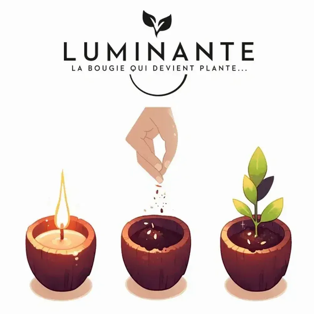 Candles - Candle that becomes a Pomme d'Amour plant - LUMINANTE