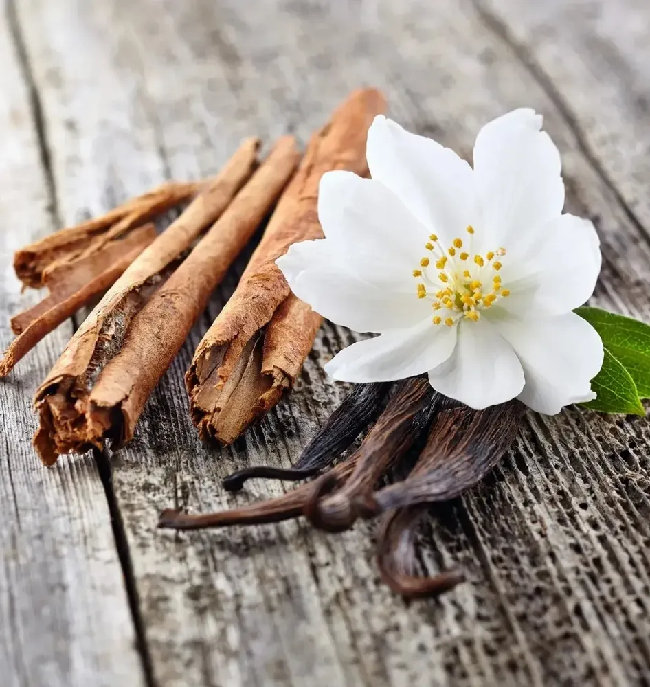 Candles - Candle that becomes a Vanilla plant - LUMINANTE