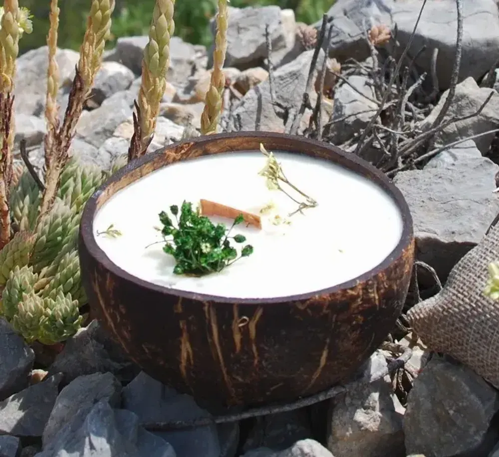 Candles - Candle that becomes a Verbena plant - LUMINANTE
