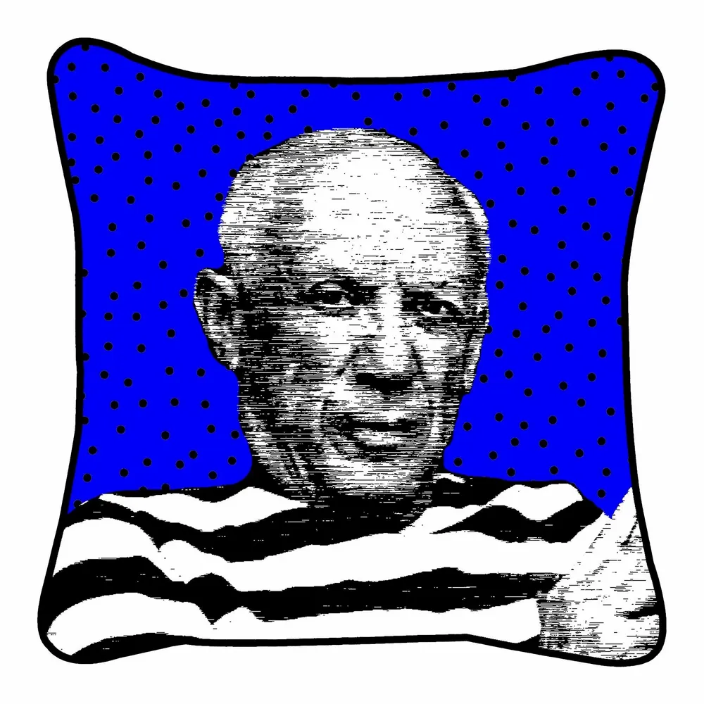 Fabric cushions - NEW cushions - BLUE SHAKER