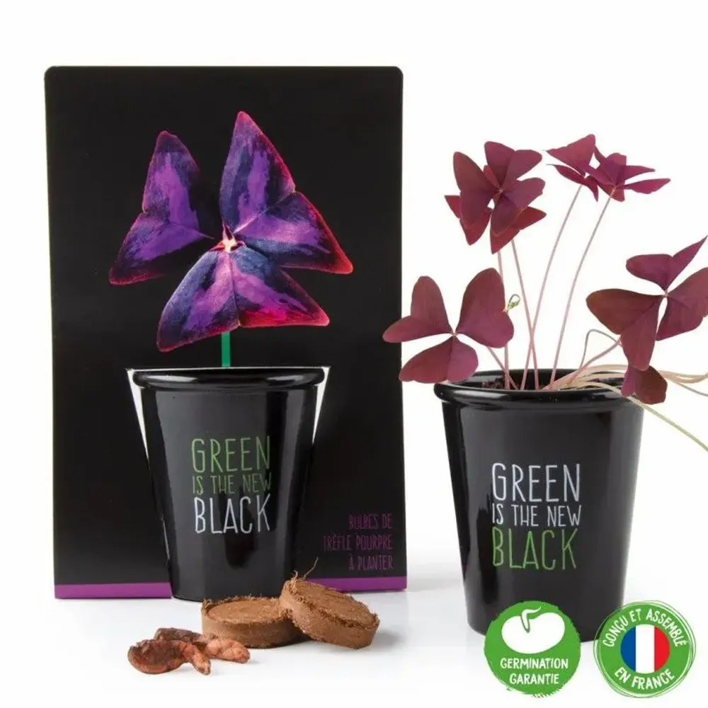 Garden accessories - Collection Pots black with seeds to sow - RADIS ET CAPUCINE