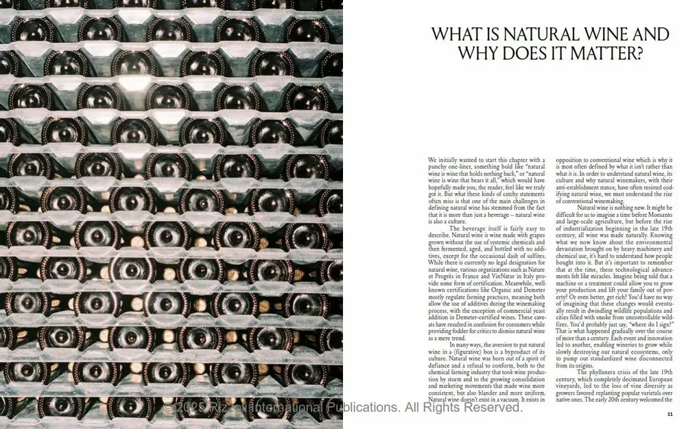 Decorative objects - Spilled - Stories and Recipes from Natural Winemakers - NEW MAGS