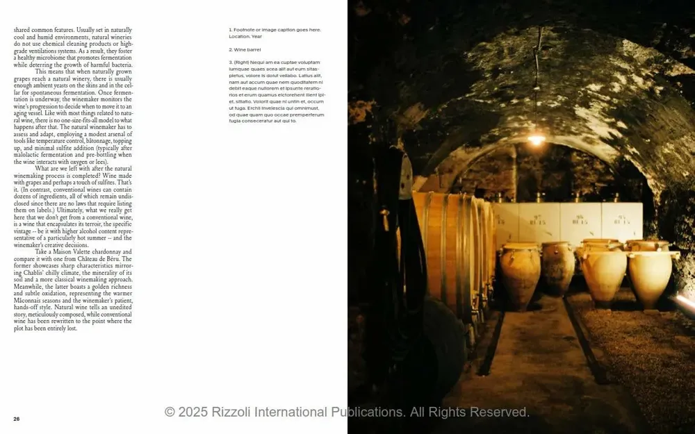 Decorative objects - Spilled - Stories and Recipes from Natural Winemakers - NEW MAGS