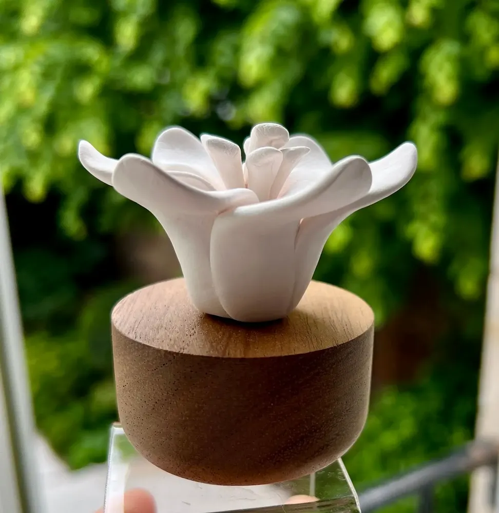 Senteurs - Diffuseur de Parfum en porcelaine et bois, diffuser écologique- JASMIN - ANOQ