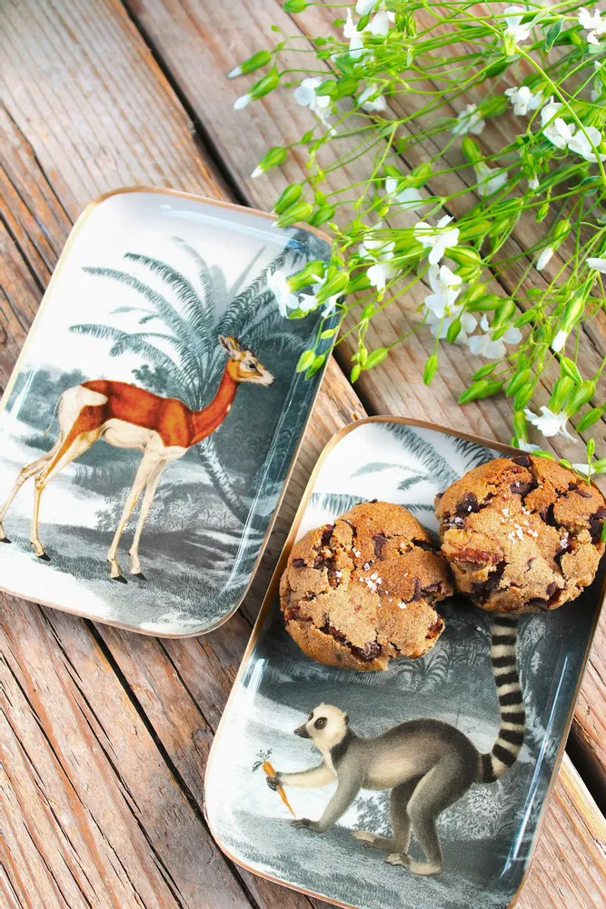 Trays - Gazelle enamelled tray - PARADISIO IMAGINARIUM