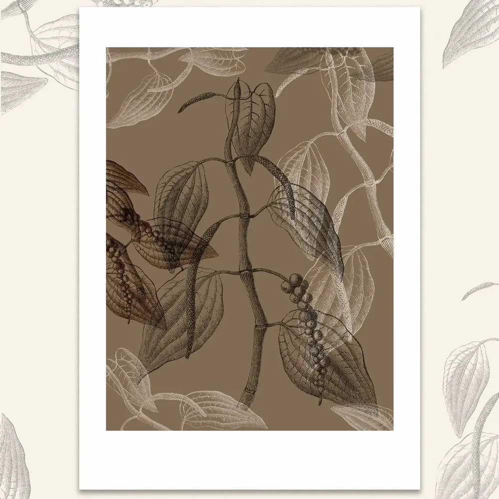 Affiches - _LE POIVRE - MARIE KAZMIERCZAK