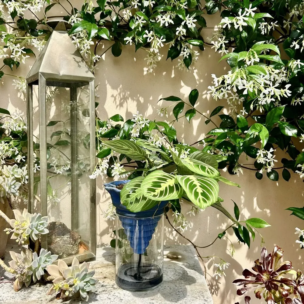 Vases - Clay pot -NOMADE BLUE PETROL- design - 3D auto-irrigating - COMMON PLACE