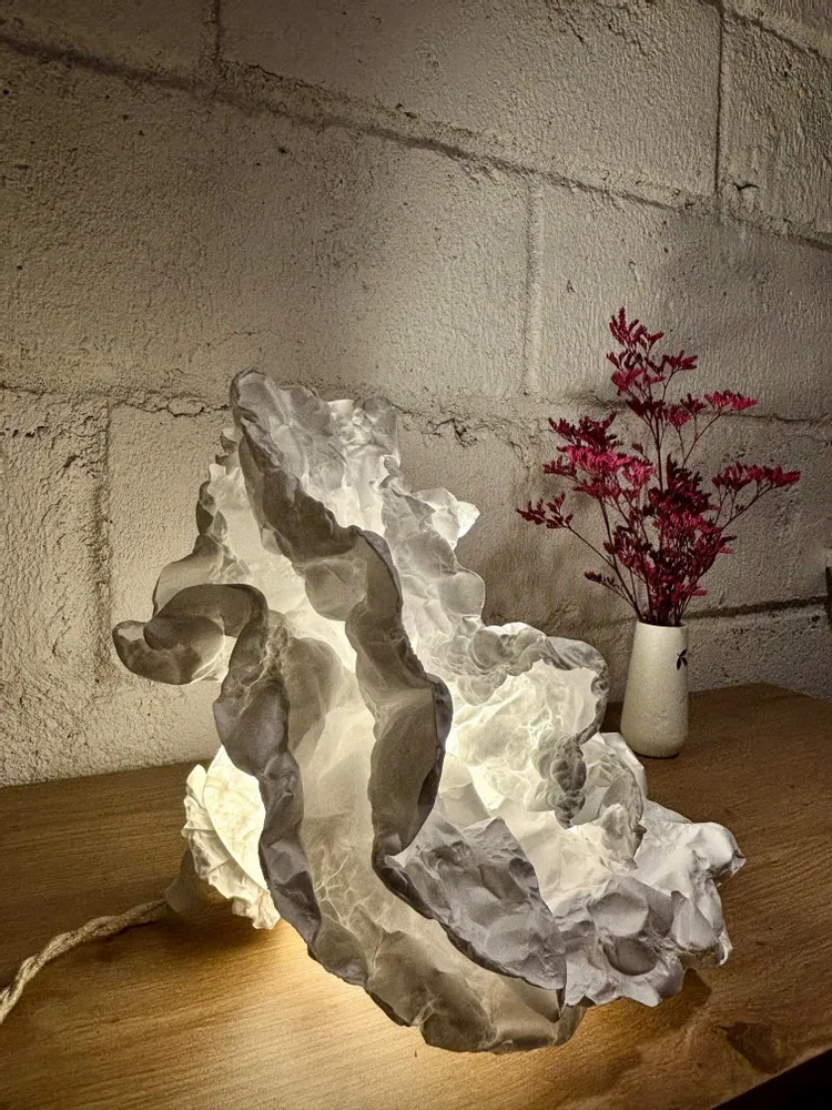 Table lamps - Fiore table lamp - AND CREATION