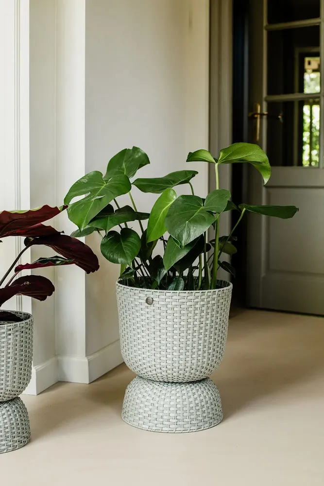 Pottery - TWIST - plant basket. - HANDED BY
