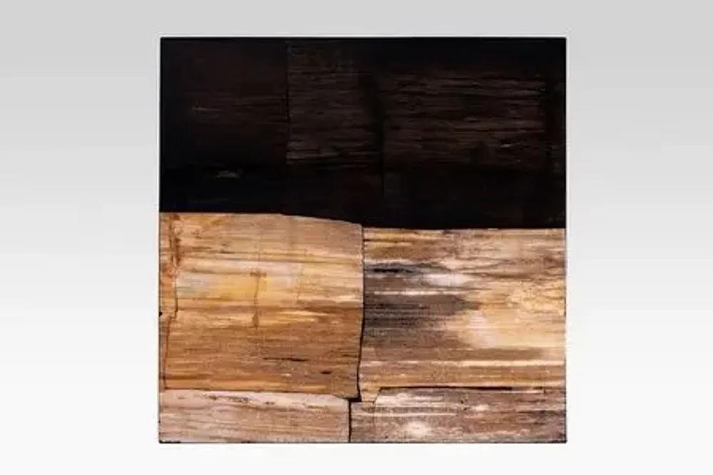 Tables basses - TABLE BASSE 'MANAMA' BOIS PETRIFIE/RESINE - FANCY