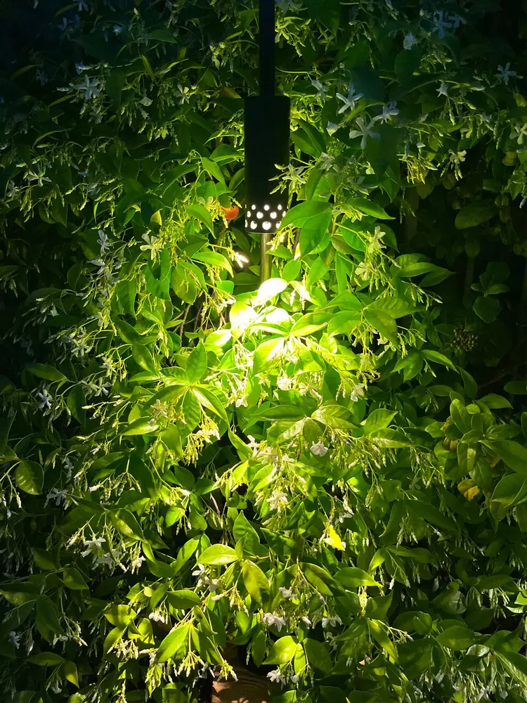 Outdoor floor lamps - ELYXIR LED pathway light - LYX LUMINAIRES
