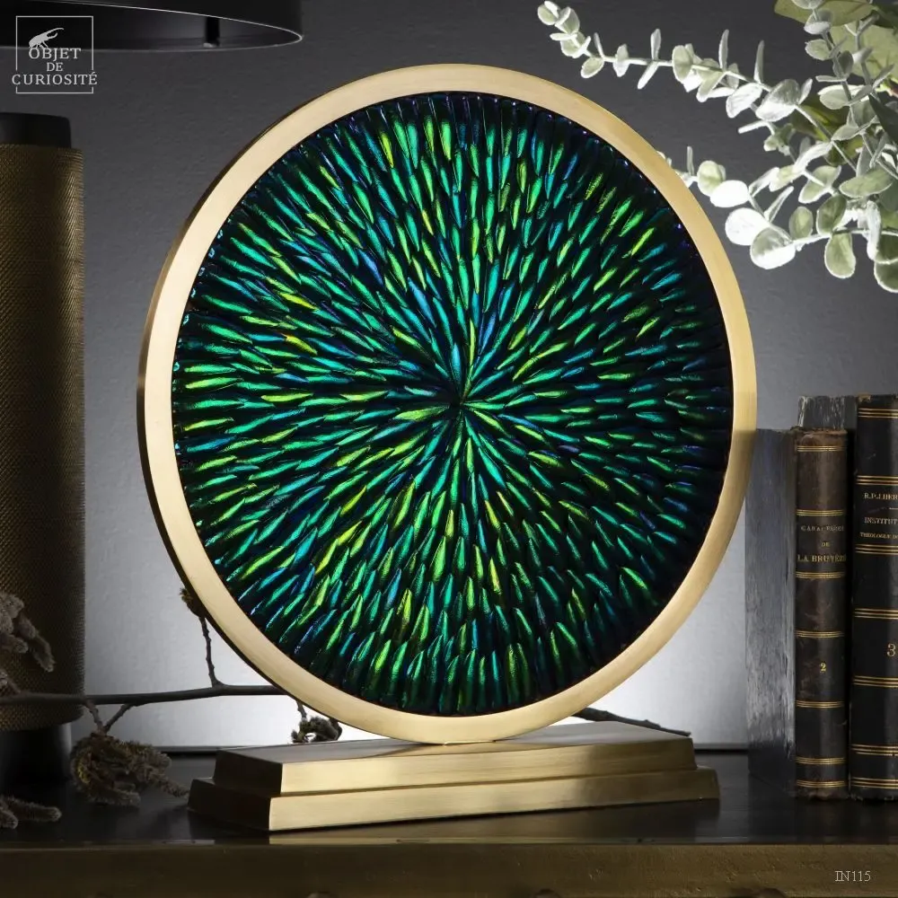 Objets de décoration - Nos produits incontournables. - OBJET DE CURIOSITÉ