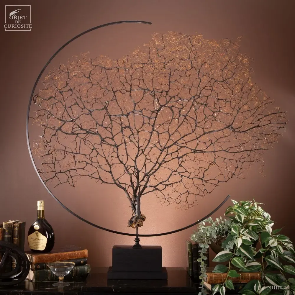 Objets de décoration - Nos produits incontournables. - OBJET DE CURIOSITÉ