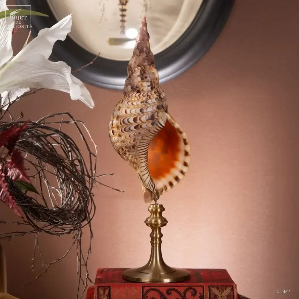 Decorative objects - Rainbow crystal box - OBJET DE CURIOSITÉ