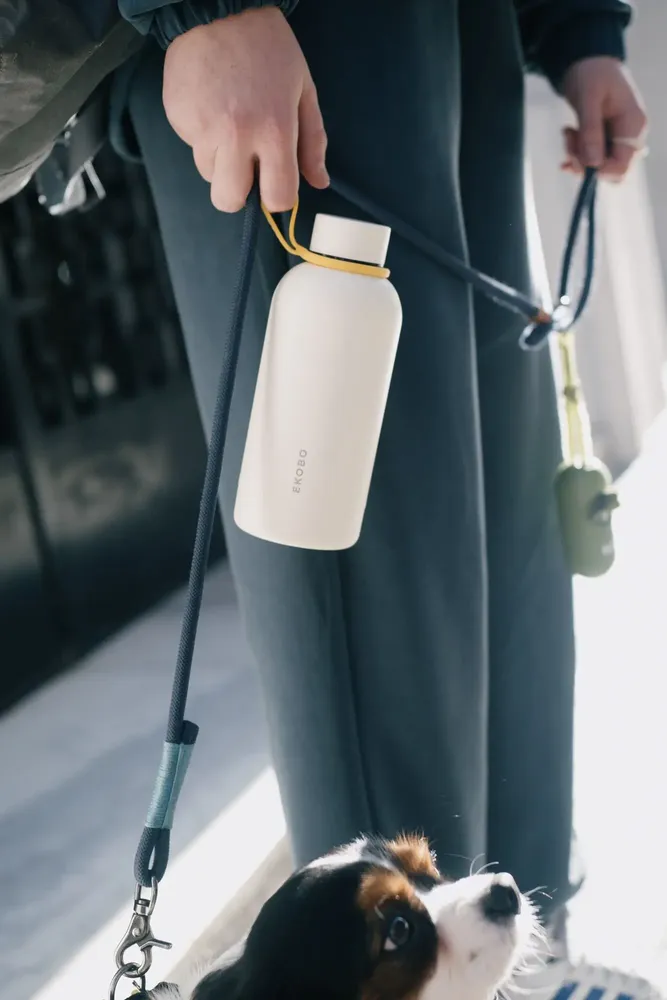 Carafes - Bouteille Isotherme Réutilisable 350 ml - Ivory - EKOBO