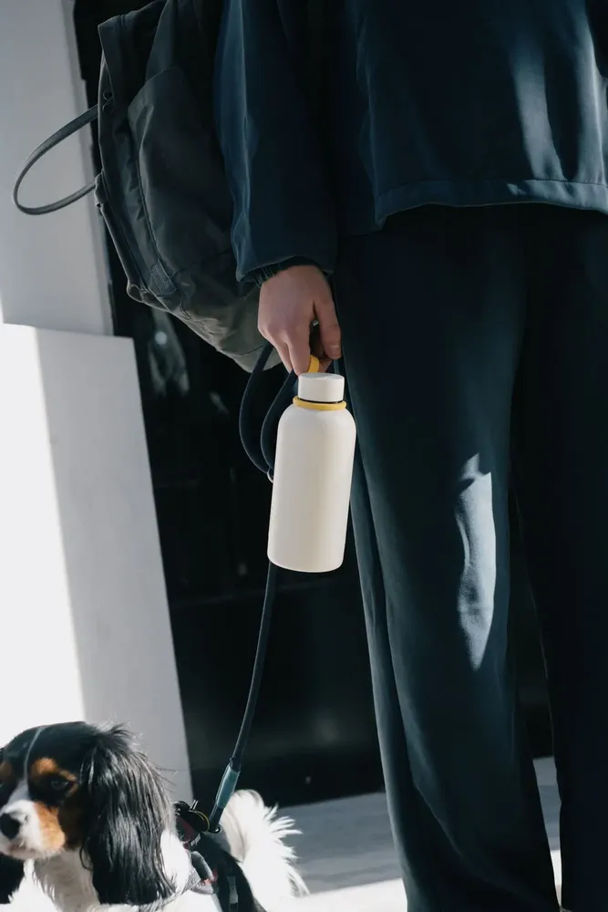 Carafes - Bouteille Isotherme Réutilisable 350 ml - Ivory - EKOBO