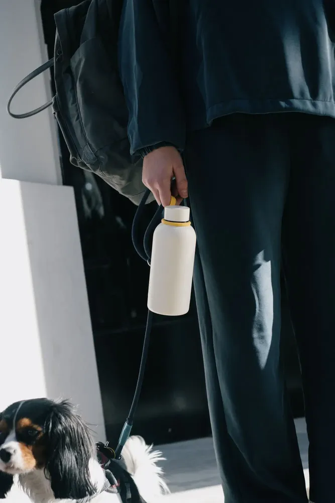 Carafes - Insulated Reusable Bottle 350ml - Ivory - EKOBO