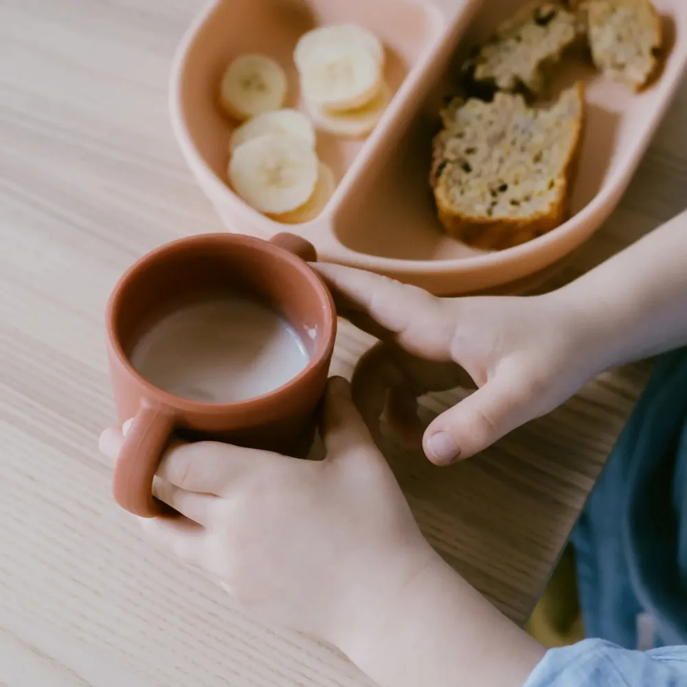 Children's mealtime - Silicone Cup with handles - 2 Pack Blush/ Terracotta - EKOBO