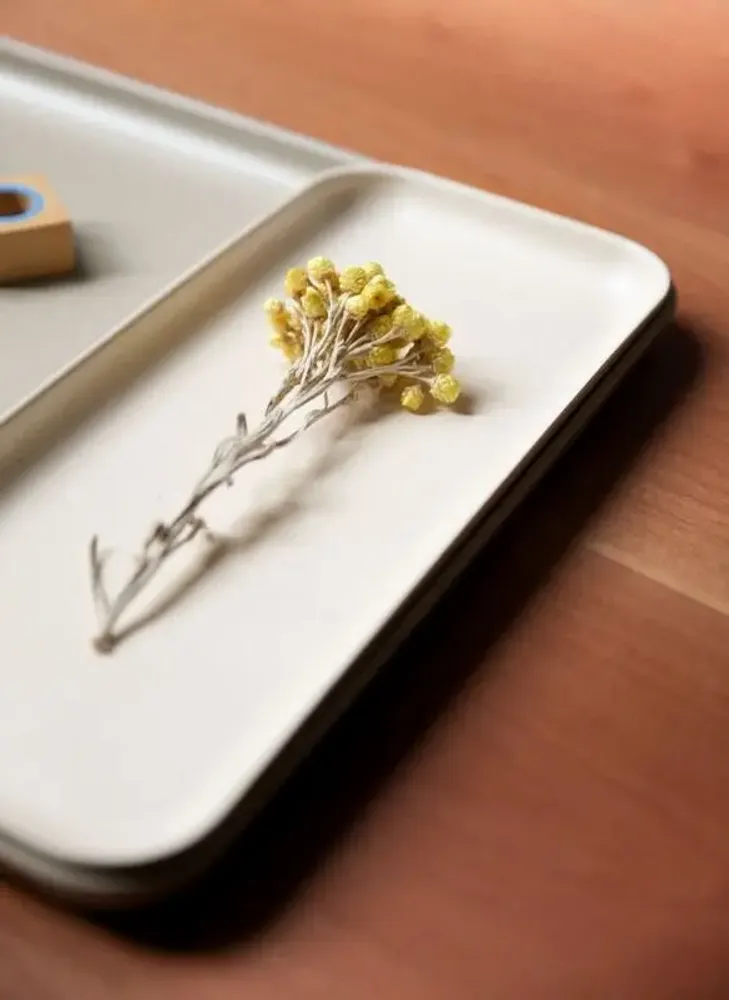 Trays - Small Tray - Off White - EKOBO