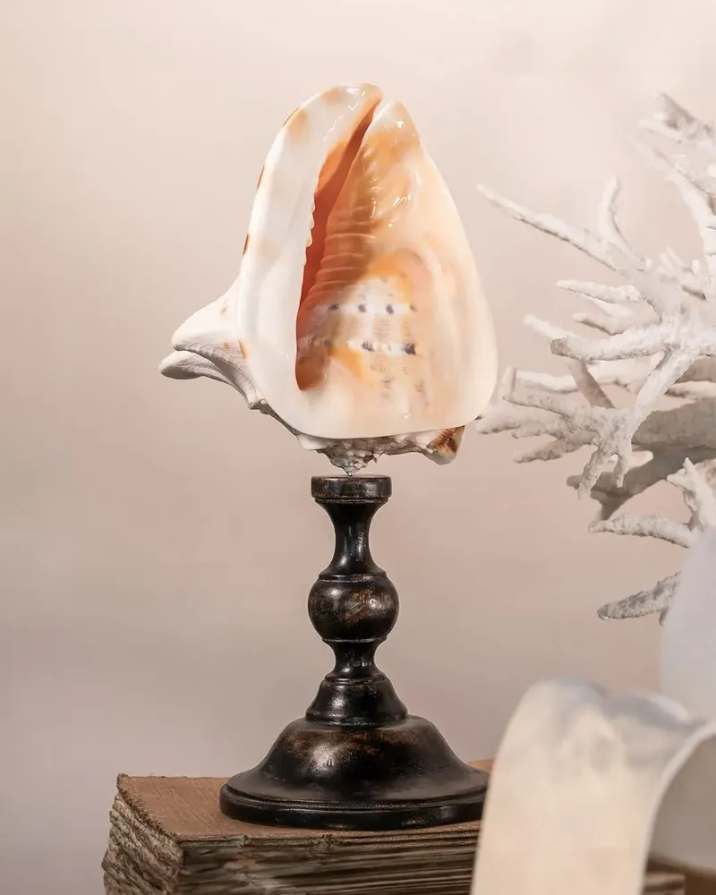 Decorative objects - Calypso Collection - ATELIERS C&S DAVOY