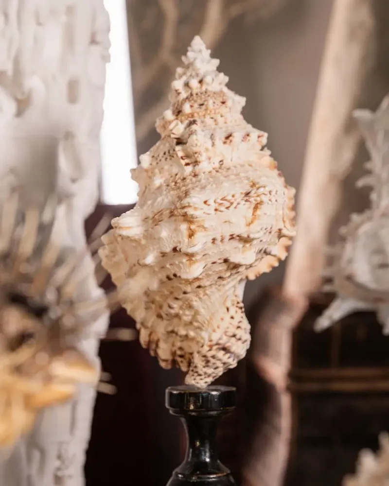 Decorative objects - Calypso Collection - ATELIERS C&S DAVOY