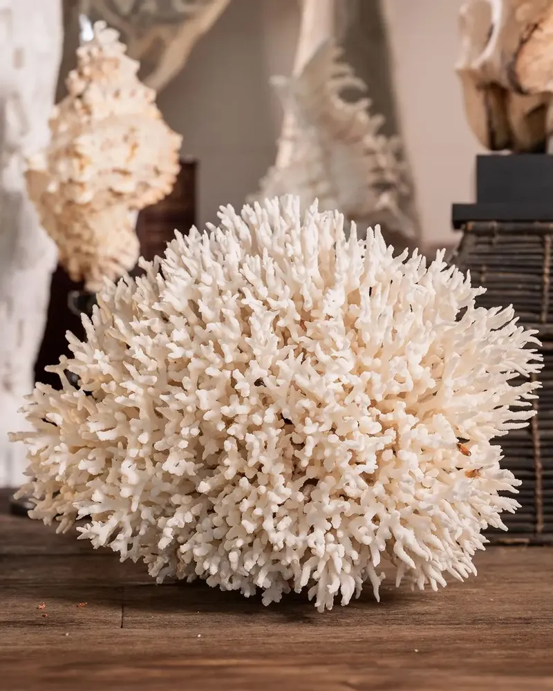 Decorative objects - Calypso Collection - ATELIERS C&S DAVOY