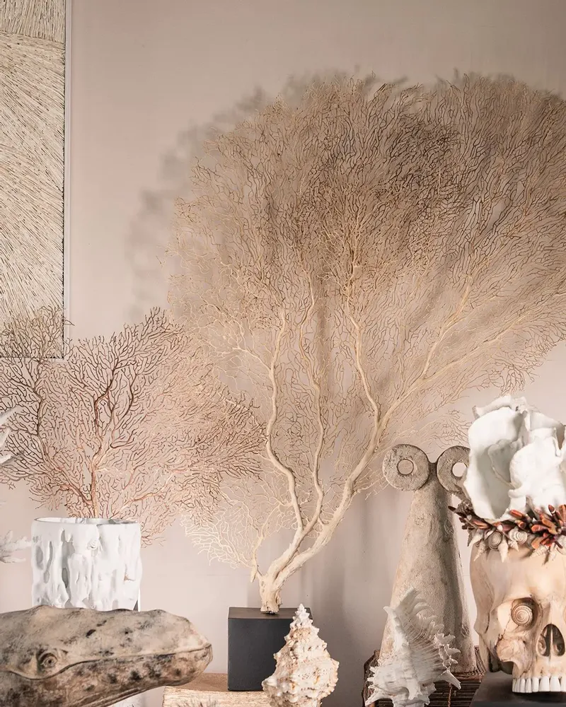 Decorative objects - Calypso Collection - ATELIERS C&S DAVOY