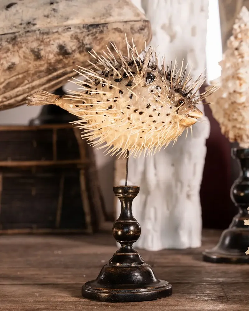 Decorative objects - Calypso Collection - ATELIERS C&S DAVOY