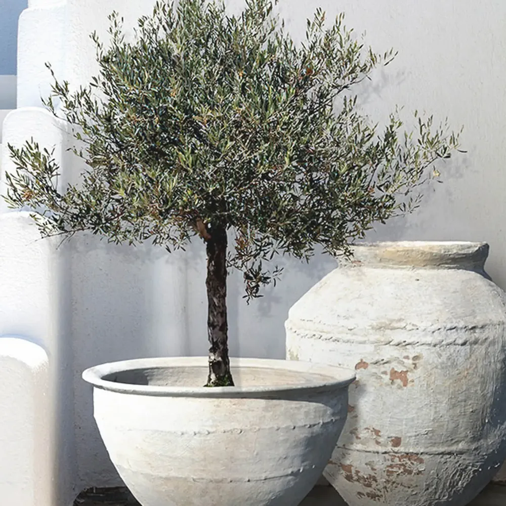 Flower pots - Pottery - ATELIERS C&S DAVOY