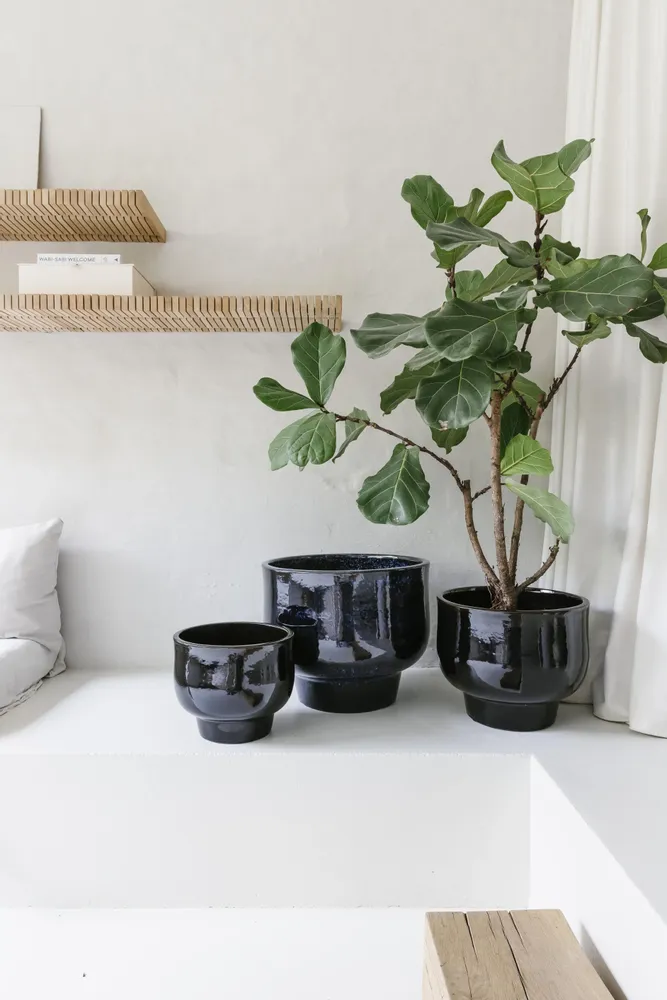 Pottery - SHADE - POTTERY - D&M