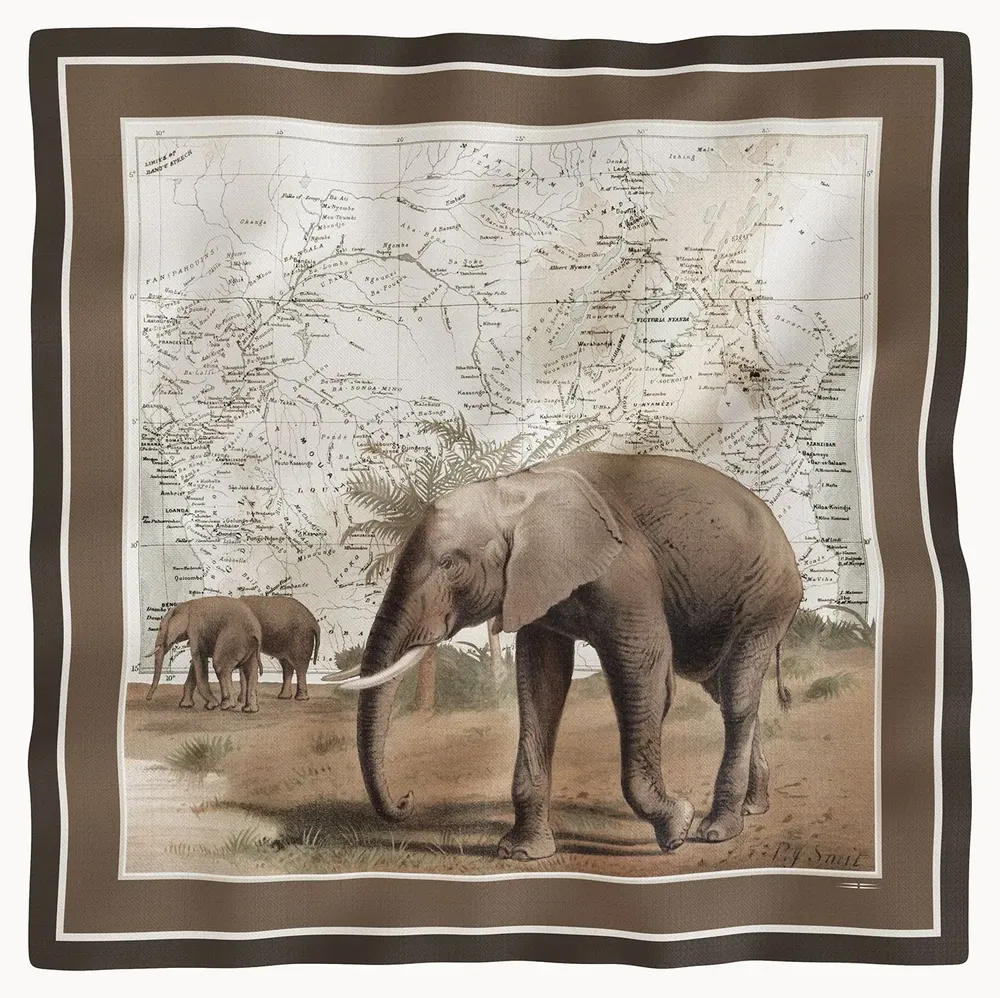 Scarves - Scarves in soft twill - MAOULI