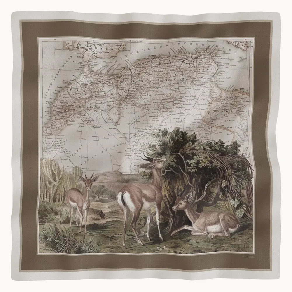Scarves - Scarves in soft twill - MAOULI