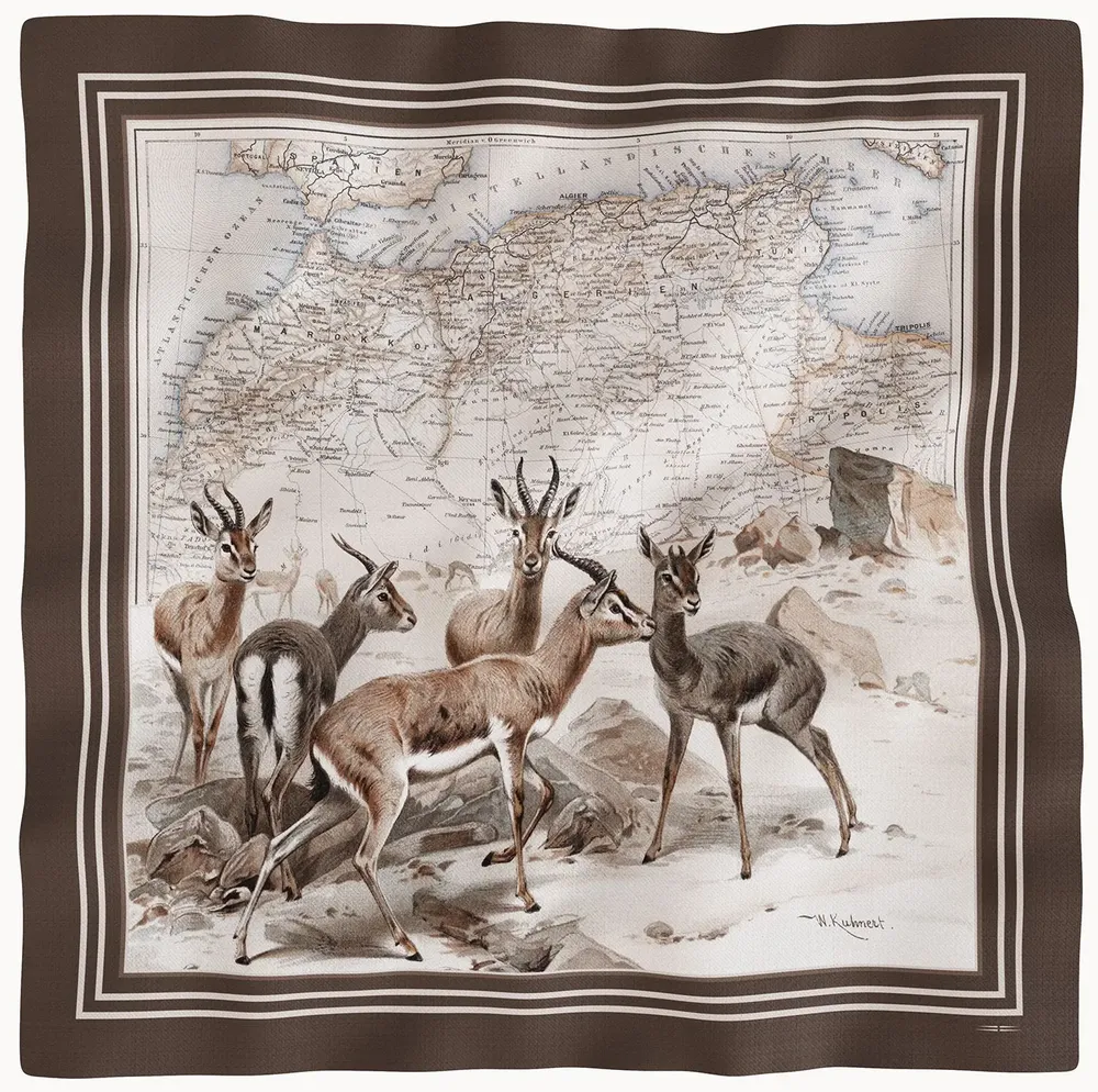 Scarves - Scarves in soft twill - MAOULI