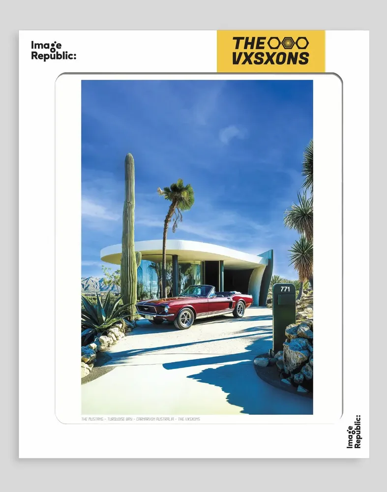 Poster - THE VISIONS - IMAGE REPUBLIC :