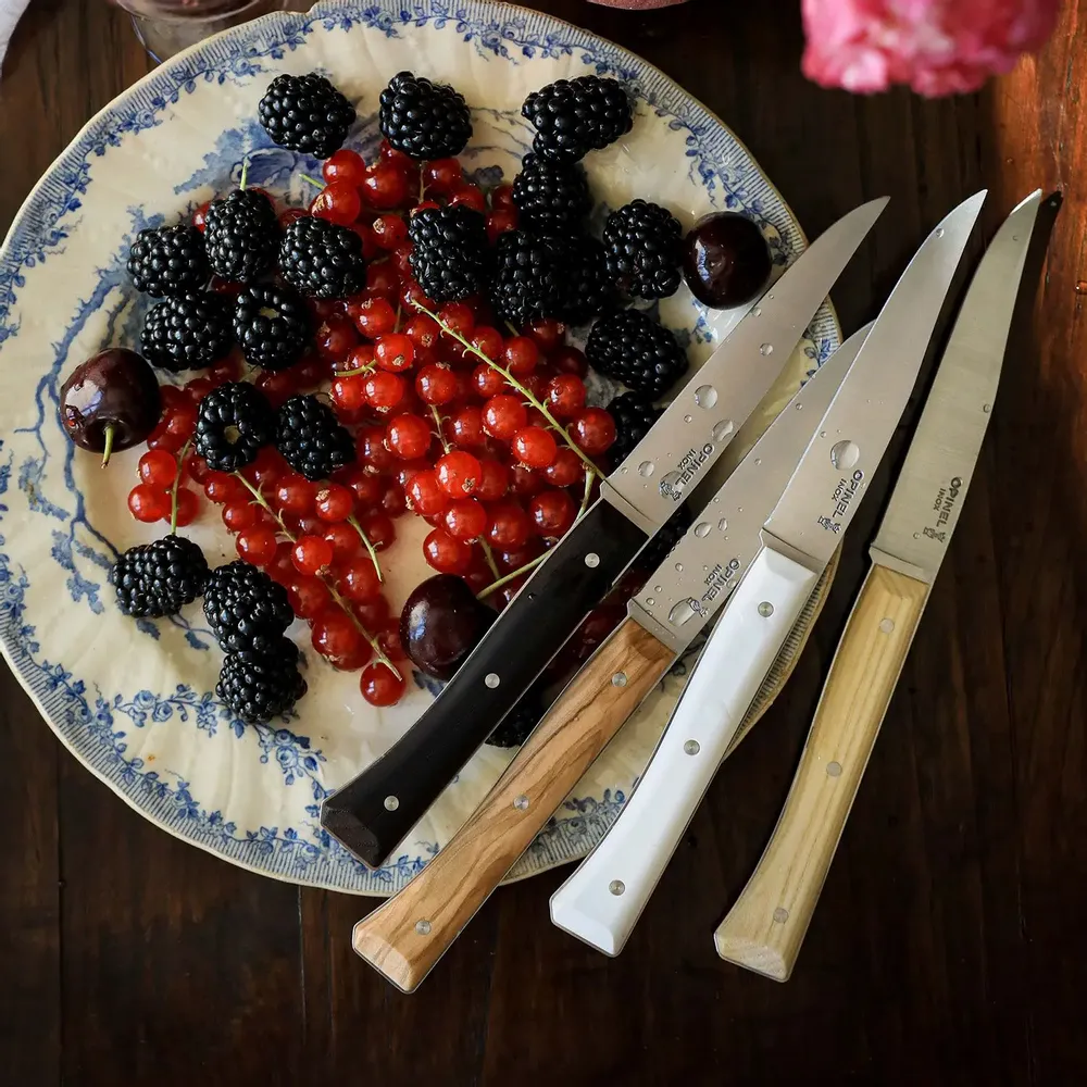 Knives - Table knives FACETTE - OPINEL