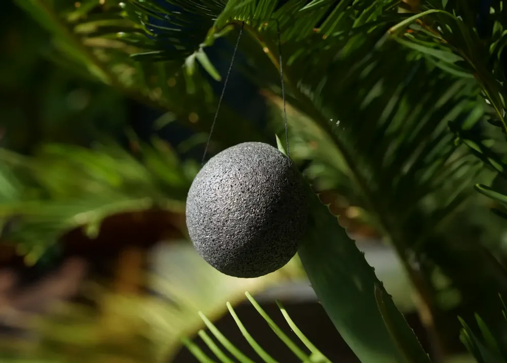 Cosmétiques - EPONGE DE KONJAC BIOLOGIQUE - AU CHARBON DE BAMBOU - EN BOÎTE - KARAWAN AUTHENTIC