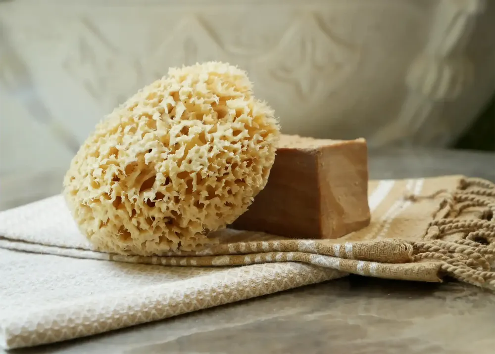 Beauty products - NATURAL SEA SPONGE - KARAWAN AUTHENTIC