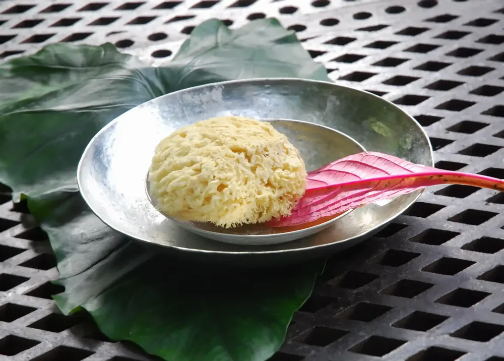 Beauty products - NATURAL SEA SPONGE - KARAWAN AUTHENTIC