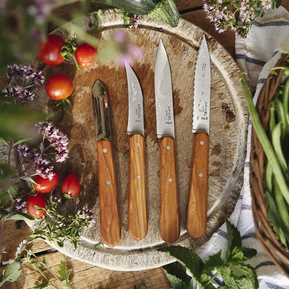 Kitchen utensils - Les Essentiels du Cuisinier small kitchen knives - OPINEL