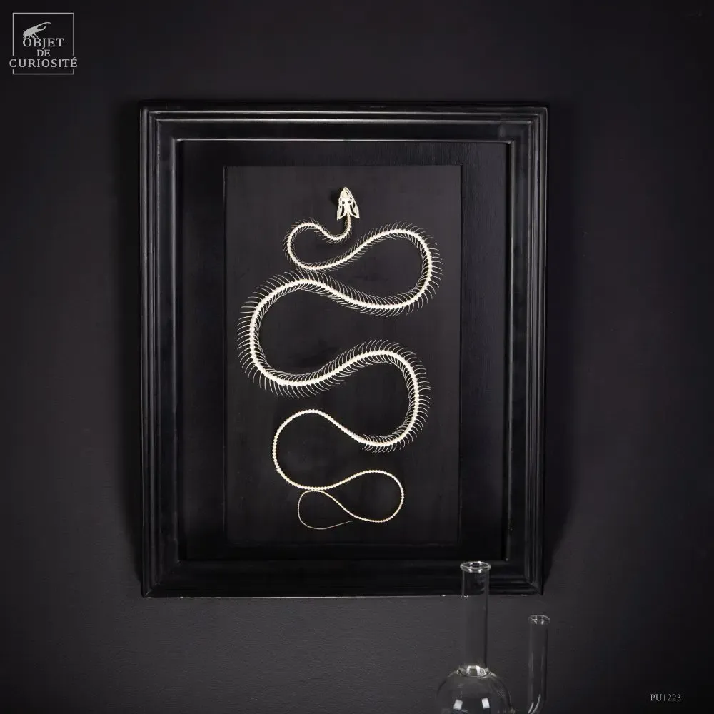 Decorative objects - Our collection of exceptional pieces - OBJET DE CURIOSITÉ