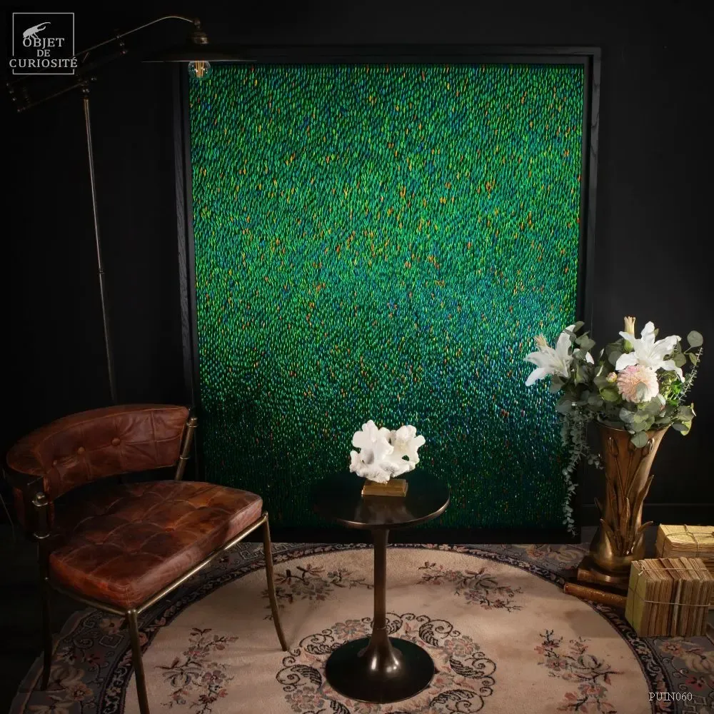 Decorative objects - Our collection of exceptional pieces - OBJET DE CURIOSITÉ