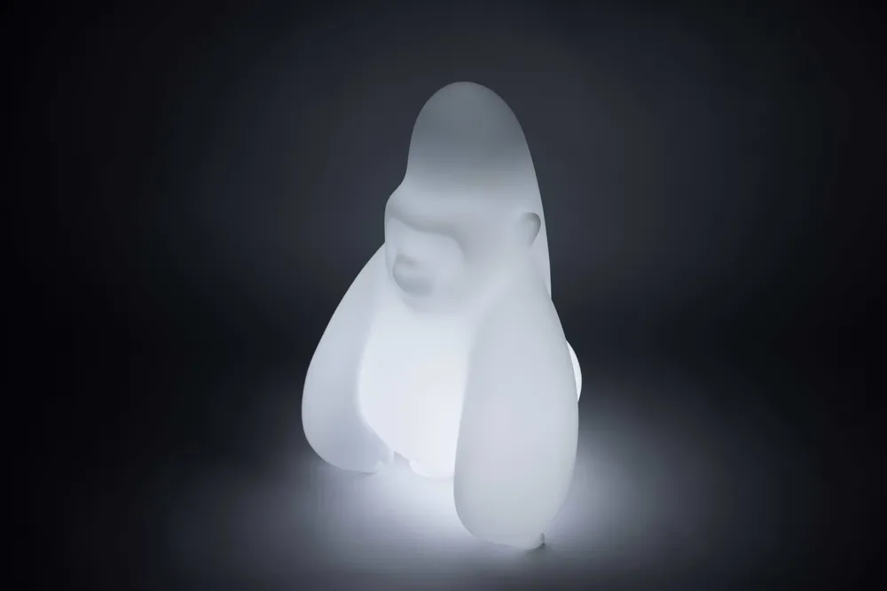 Decorative objects - SECRET - DRIVEPRO