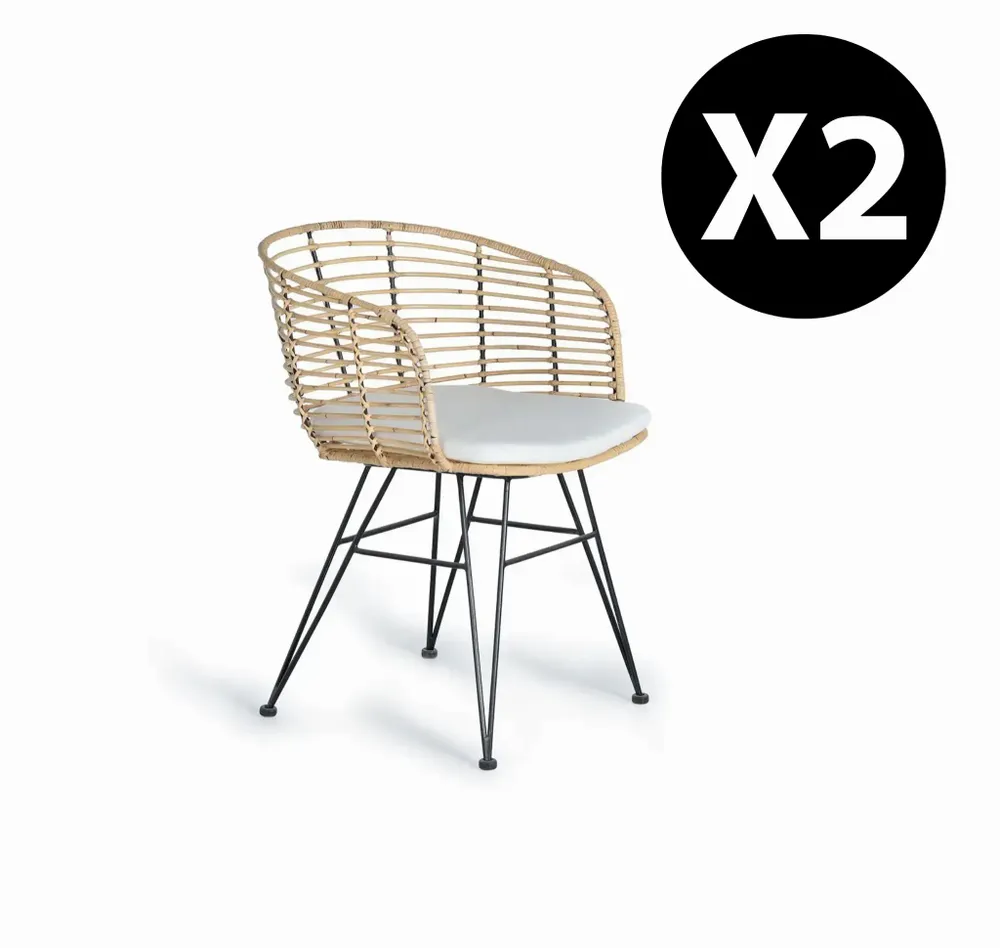 Chaises - Lot de 2 chaises en rotin et métal - GINER Y COLOMER