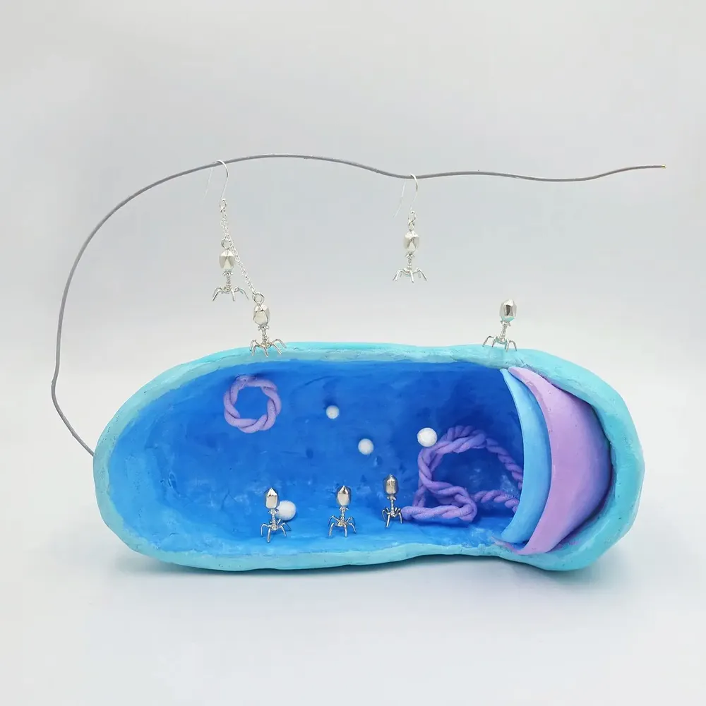 Jewelry - Silver Jewelry by biology - WILD TYPE