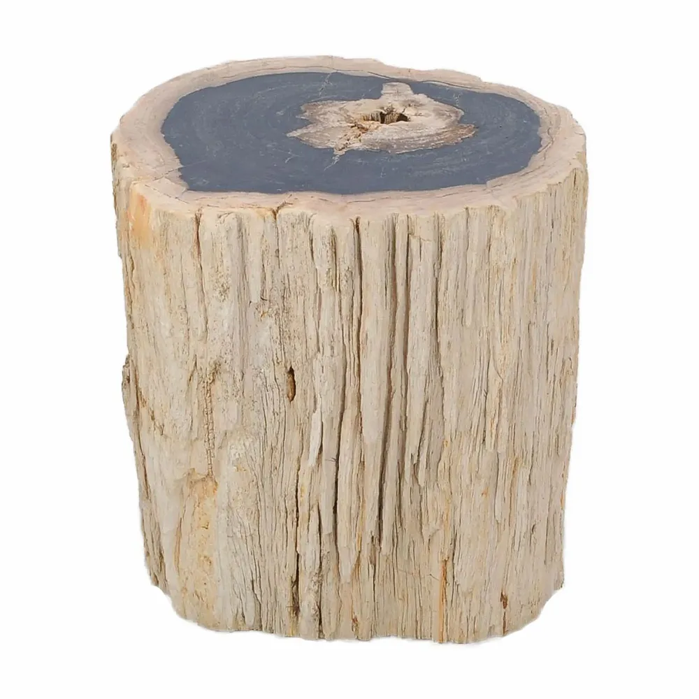 Stools - Petrified Wood side tables - XYLEIA PETRIFIED WOOD