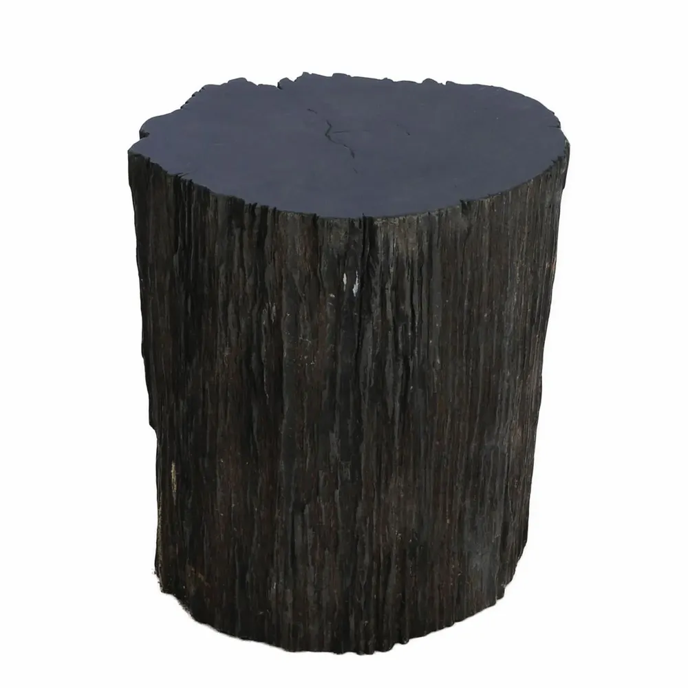 Stools - Petrified Wood side tables - XYLEIA PETRIFIED WOOD